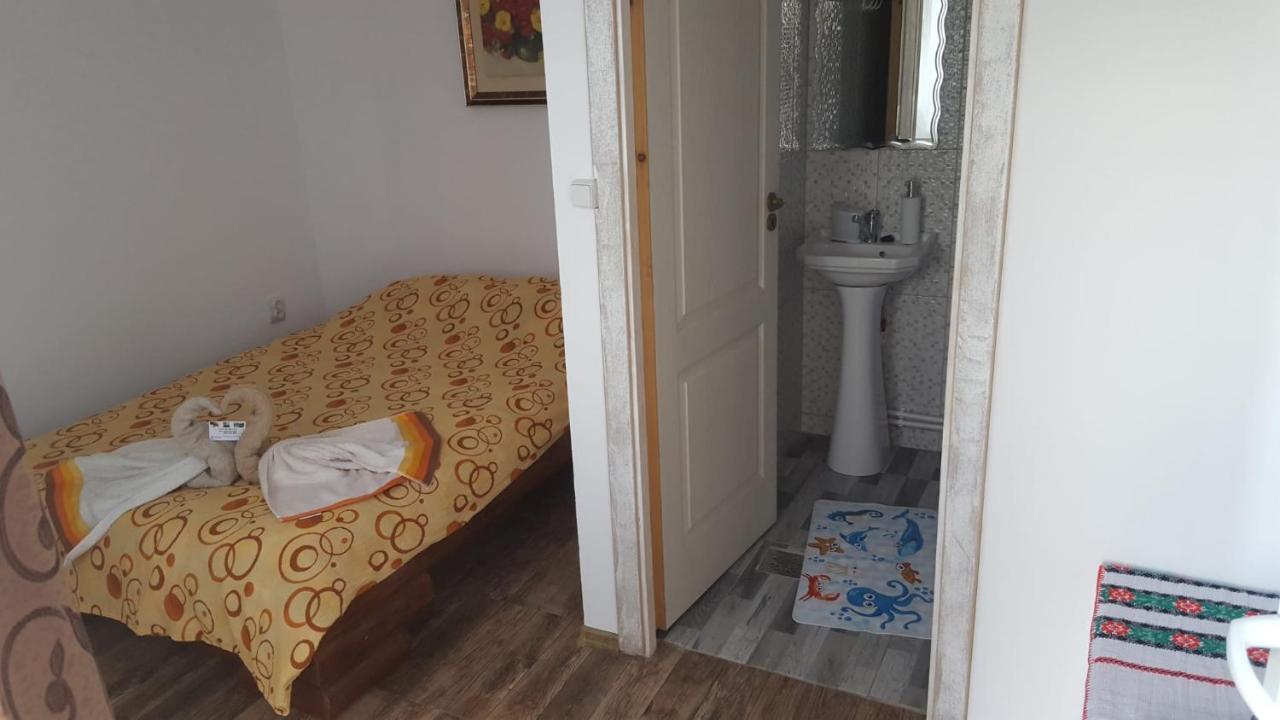 Casa Rariana Hotel Călimăneşti Buitenkant foto