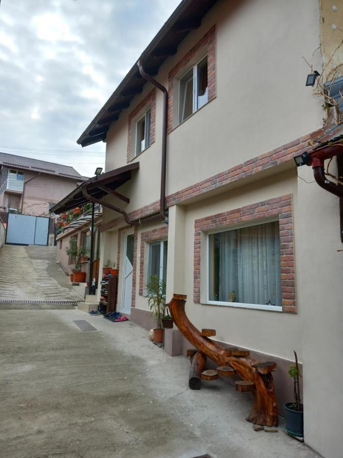 Casa Rariana Hotel Călimăneşti Buitenkant foto