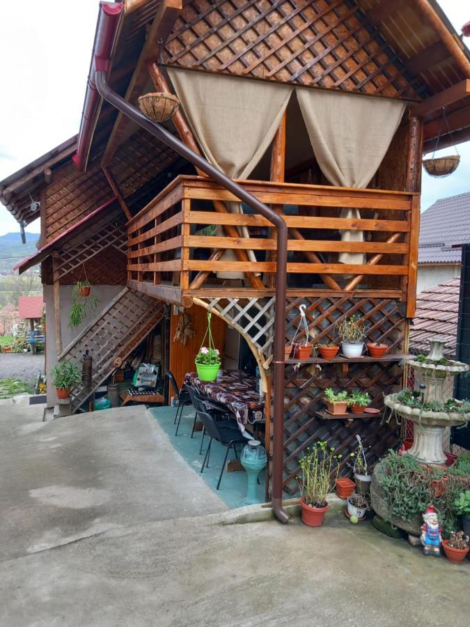 Casa Rariana Hotel Călimăneşti Buitenkant foto