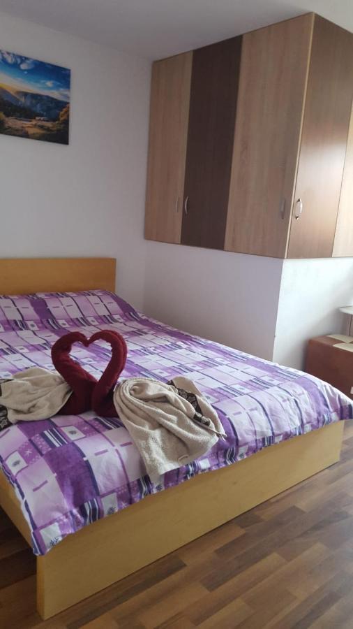 Casa Rariana Hotel Călimăneşti Buitenkant foto
