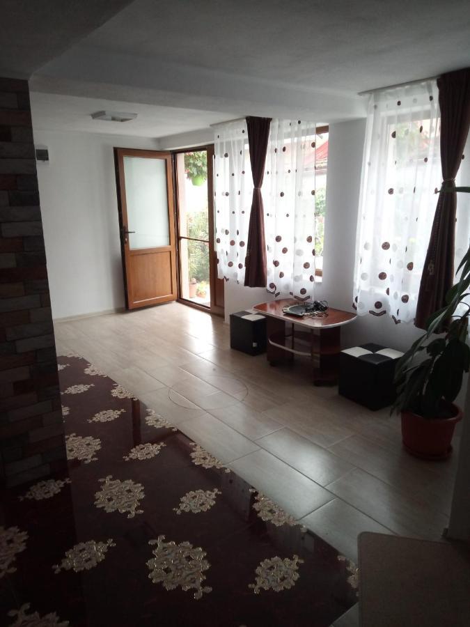 Casa Rariana Hotel Călimăneşti Buitenkant foto