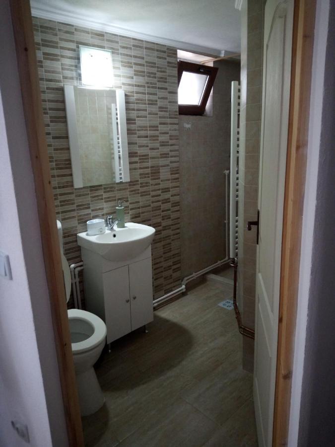Casa Rariana Hotel Călimăneşti Buitenkant foto