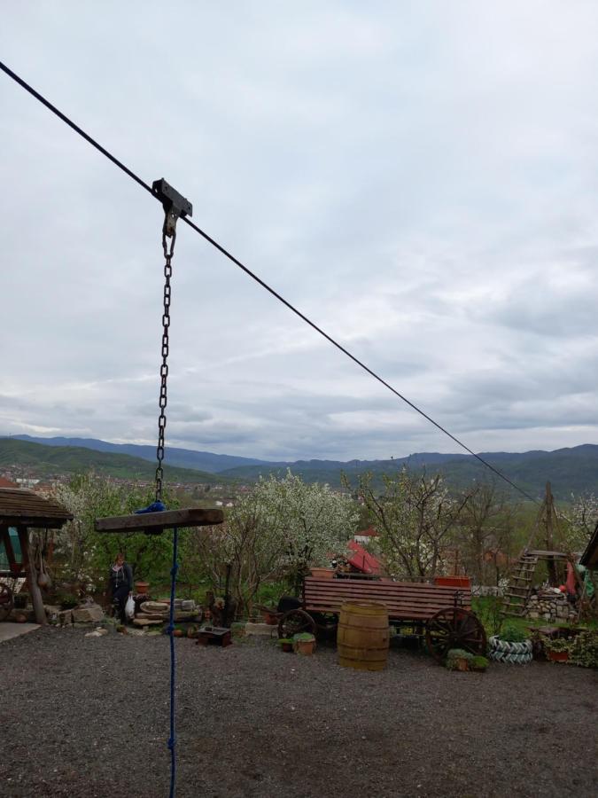 Casa Rariana Hotel Călimăneşti Buitenkant foto