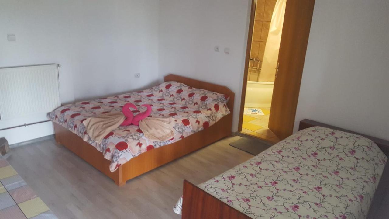 Casa Rariana Hotel Călimăneşti Buitenkant foto